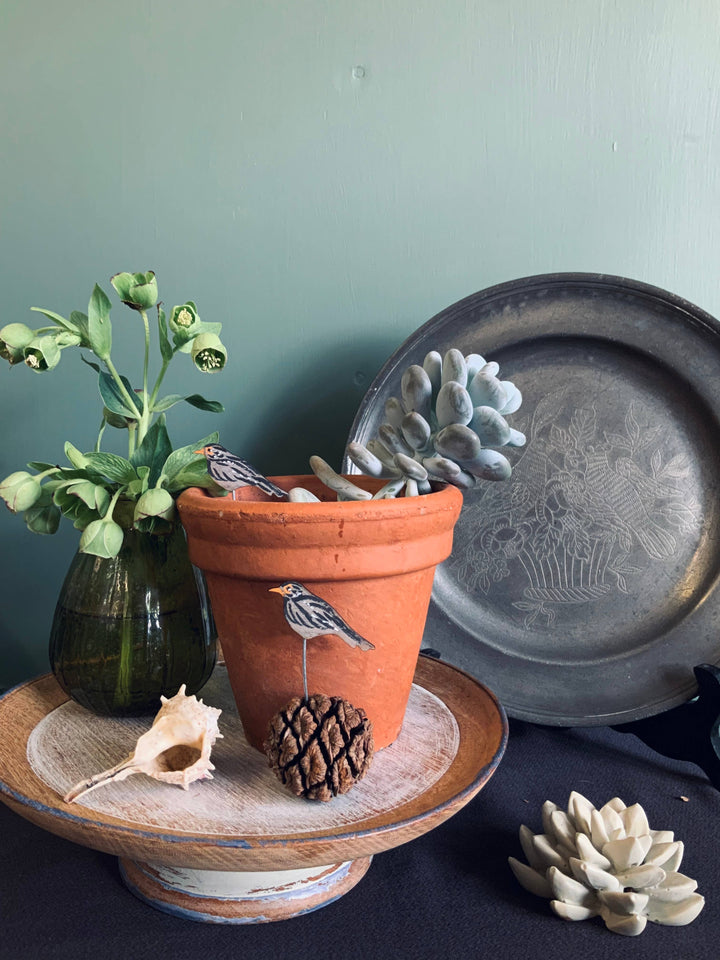 Black Bird Plant Pot Companions