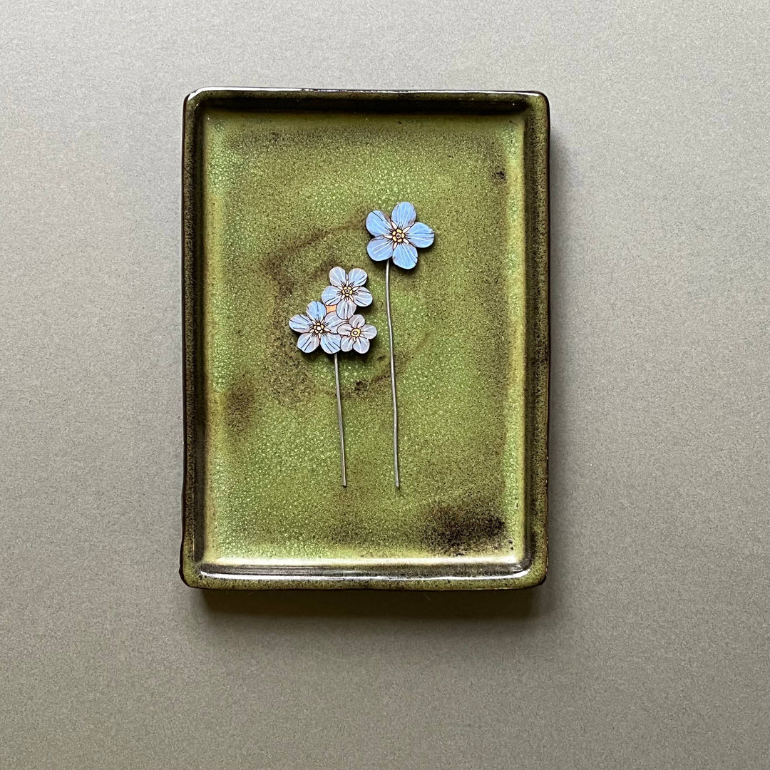 Forget Me Not Plant Pot Companions