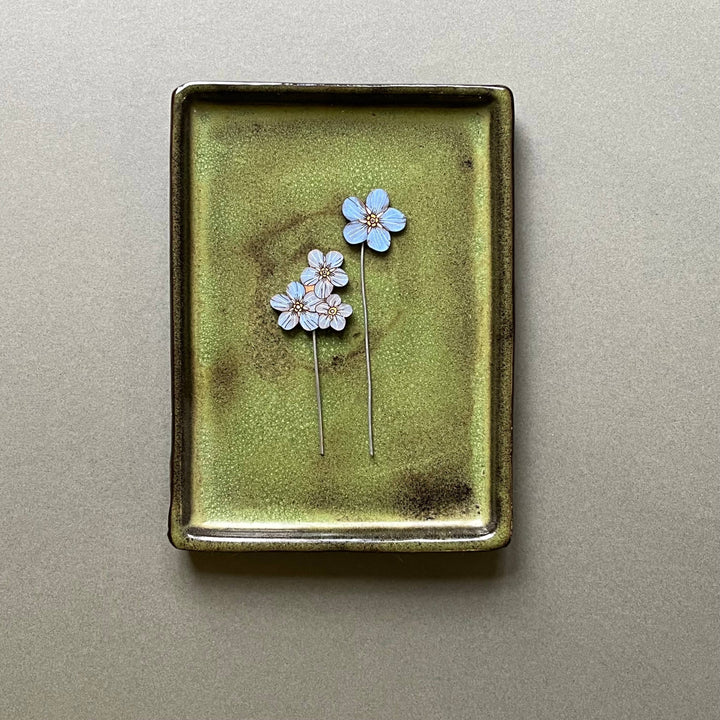 Forget Me Not Plant Pot Companions