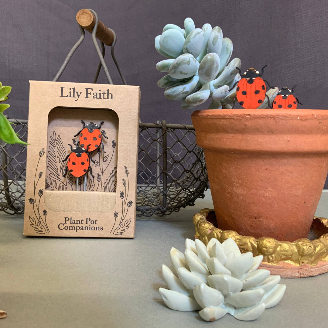 Ladybird Plant Pot Companions