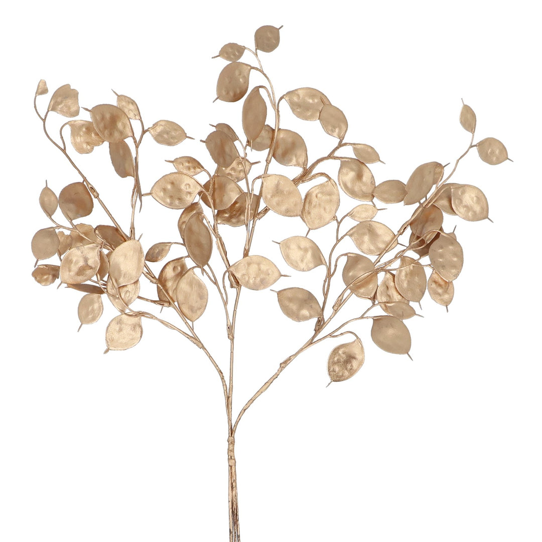 Gold Honesty Stem 52cm