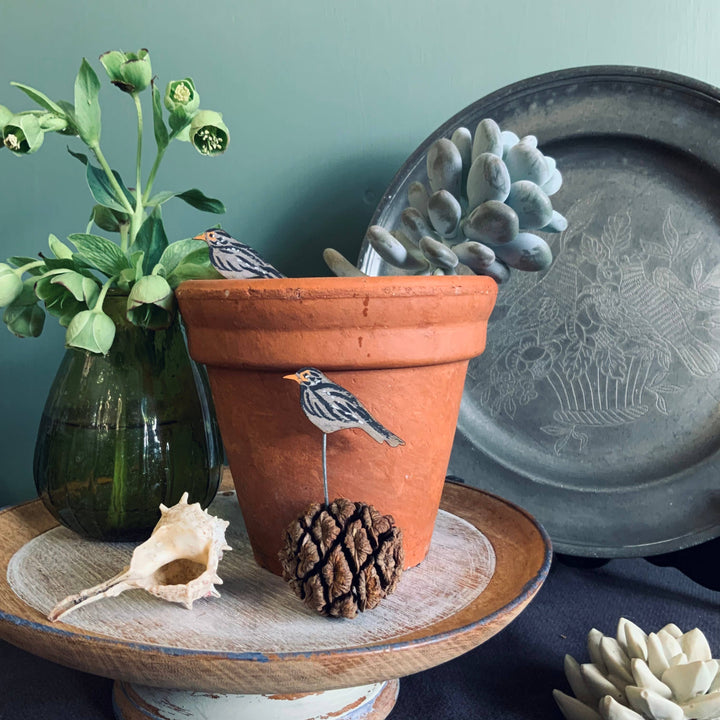 Black Bird Plant Pot Companions