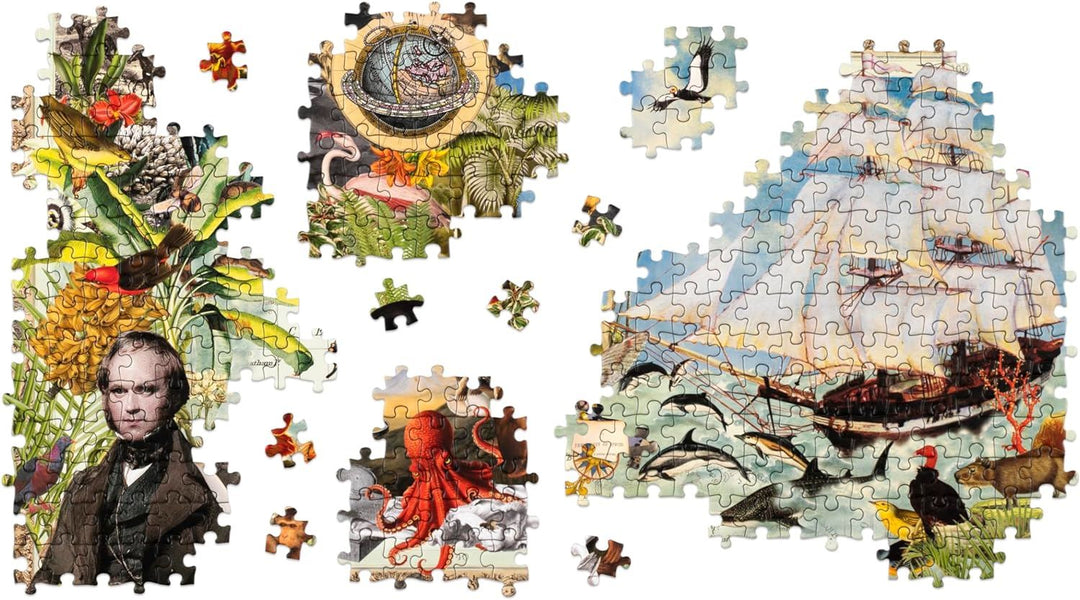 Charles Darwin’s Voyage Jigsaw Puzzle