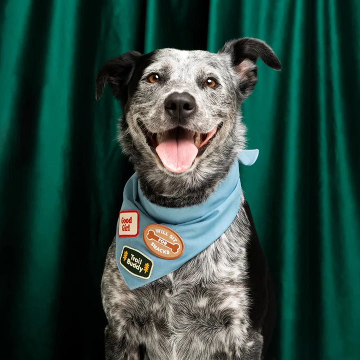 Blue Bandana for Dogs