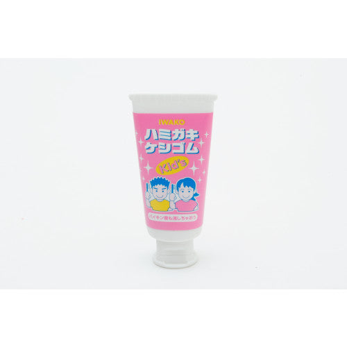 IWAKO Japanese Puzzle Erasers - Dental