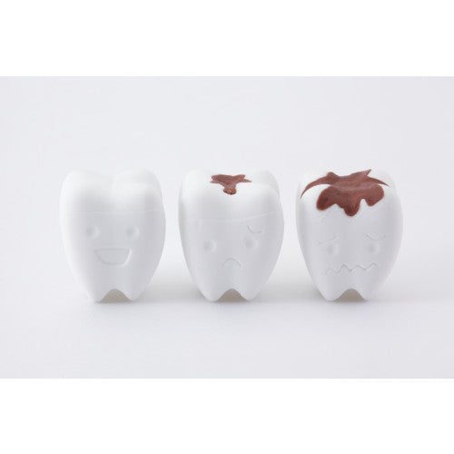 IWAKO Japanese Puzzle Erasers - Dental