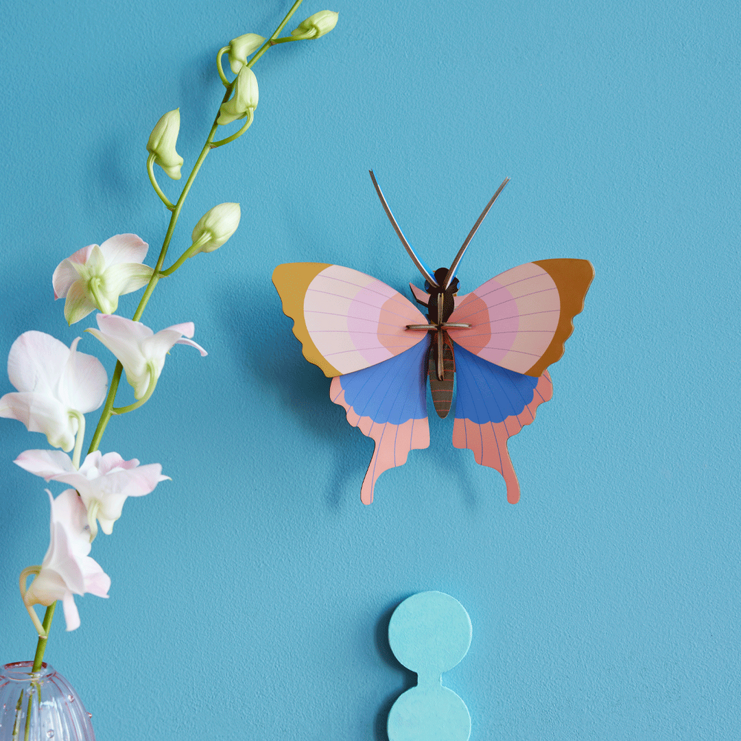 Gold Rim Butterfly 3D Model Kit