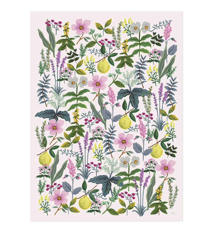 Herb Garden Wrapping Paper