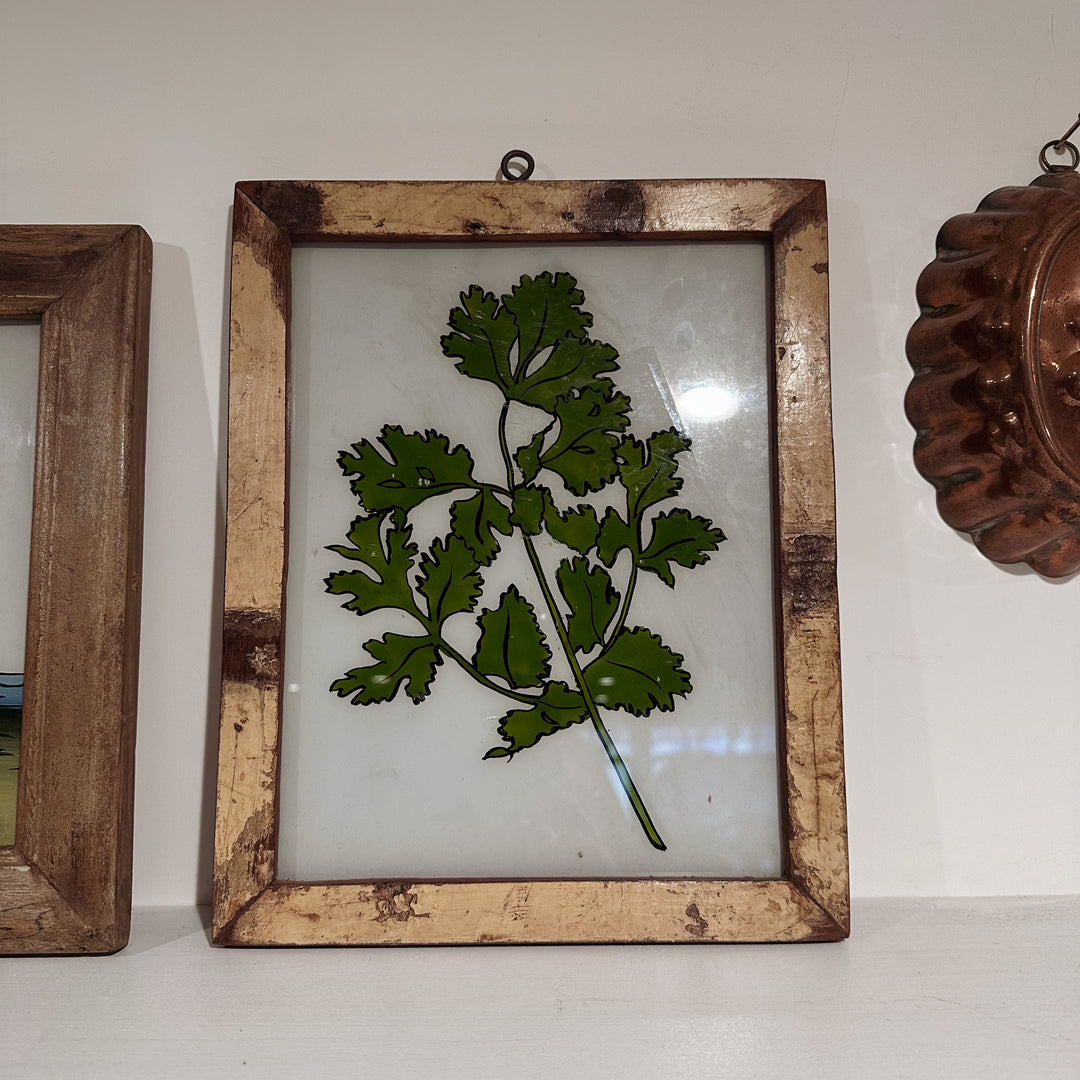 Parsley - Indian Glass Painting - Vintage