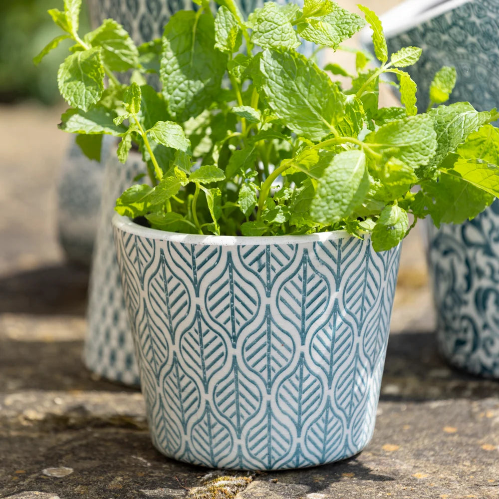 Moroccan Plant Pot