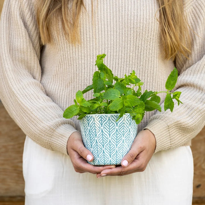 Moroccan Plant Pot