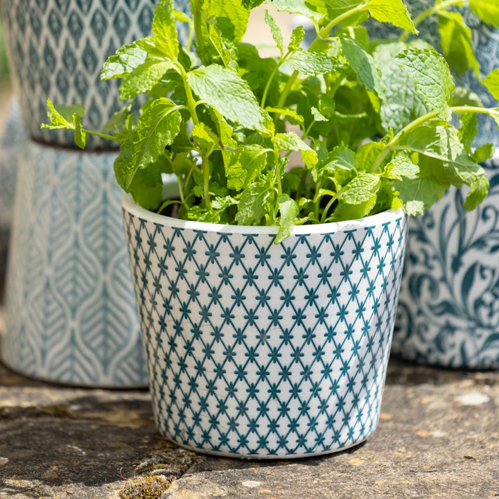 Moroccan Plant Pot