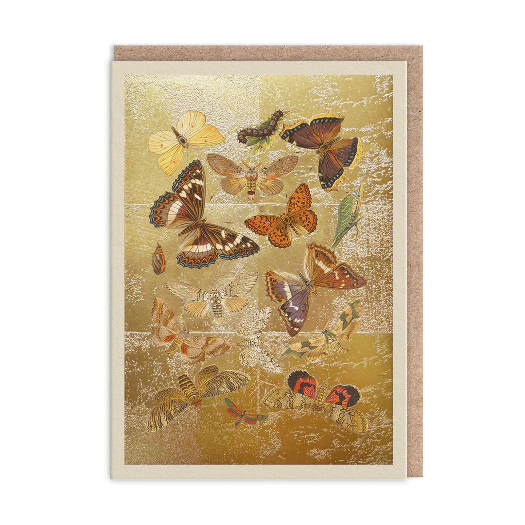 Lepidoptera Card
