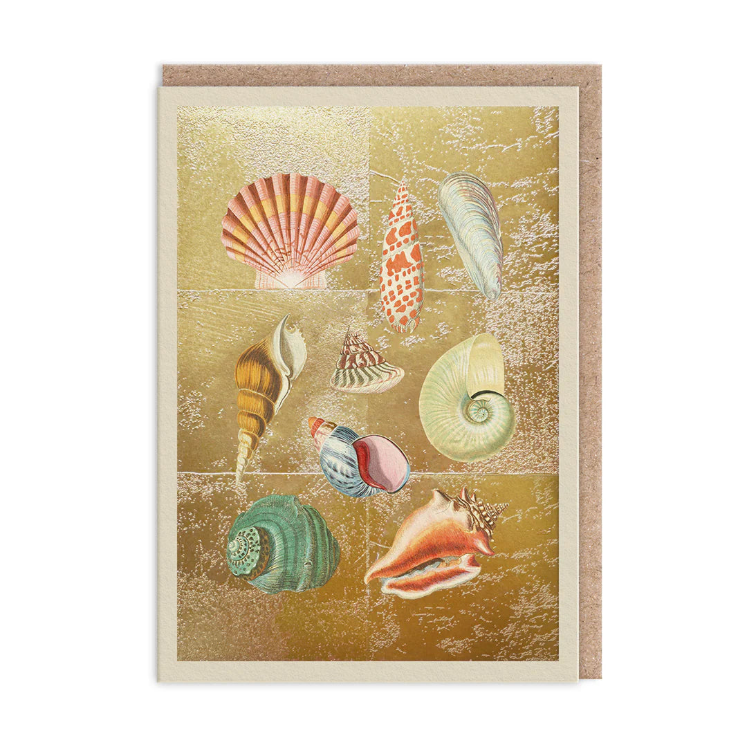 Shell Collection Card