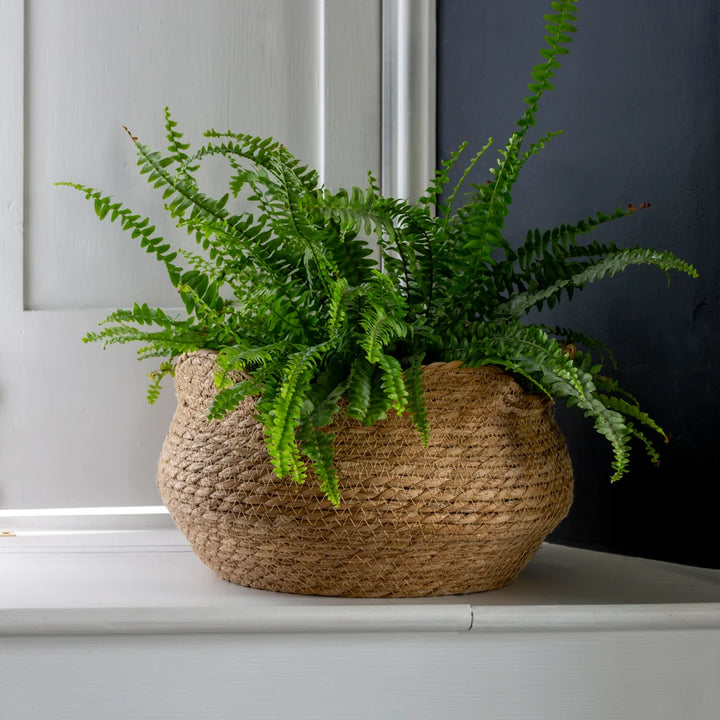 Seagrass Basket Planter Shallow Frill Edge