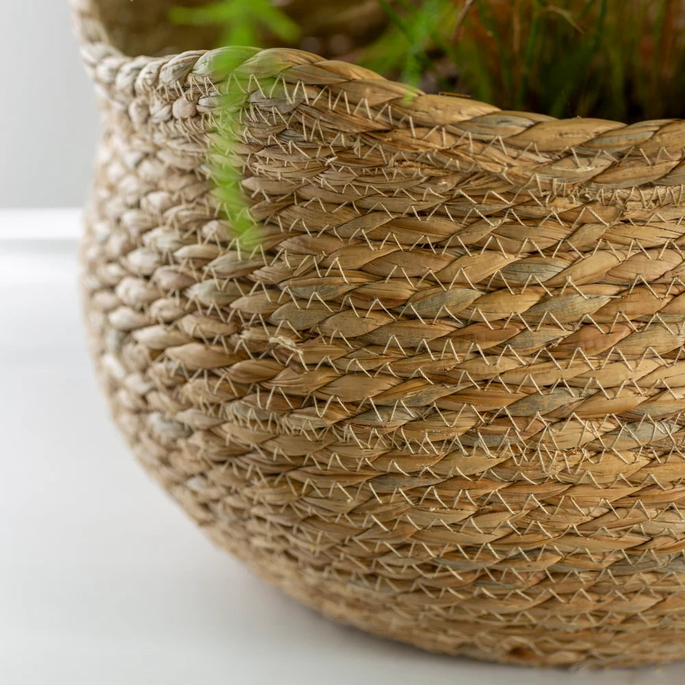 Seagrass Basket Planter Shallow Frill Edge