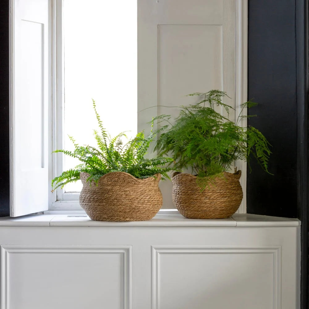 Seagrass Basket Planter Shallow Frill Edge
