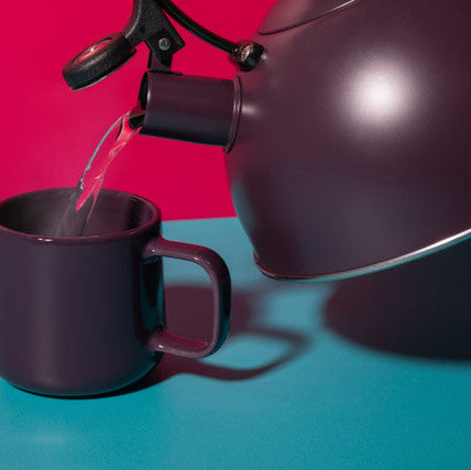 Whistling Kettle in Purple 1.6L