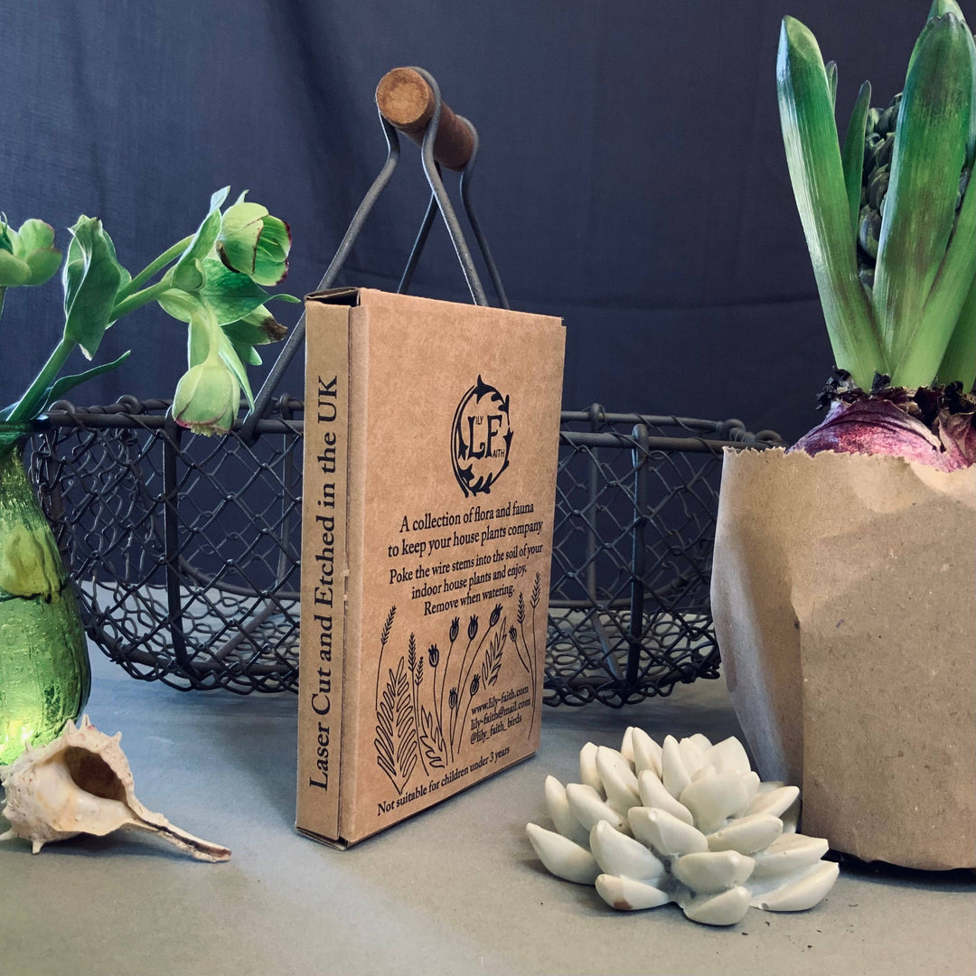 Black Bird Plant Pot Companions