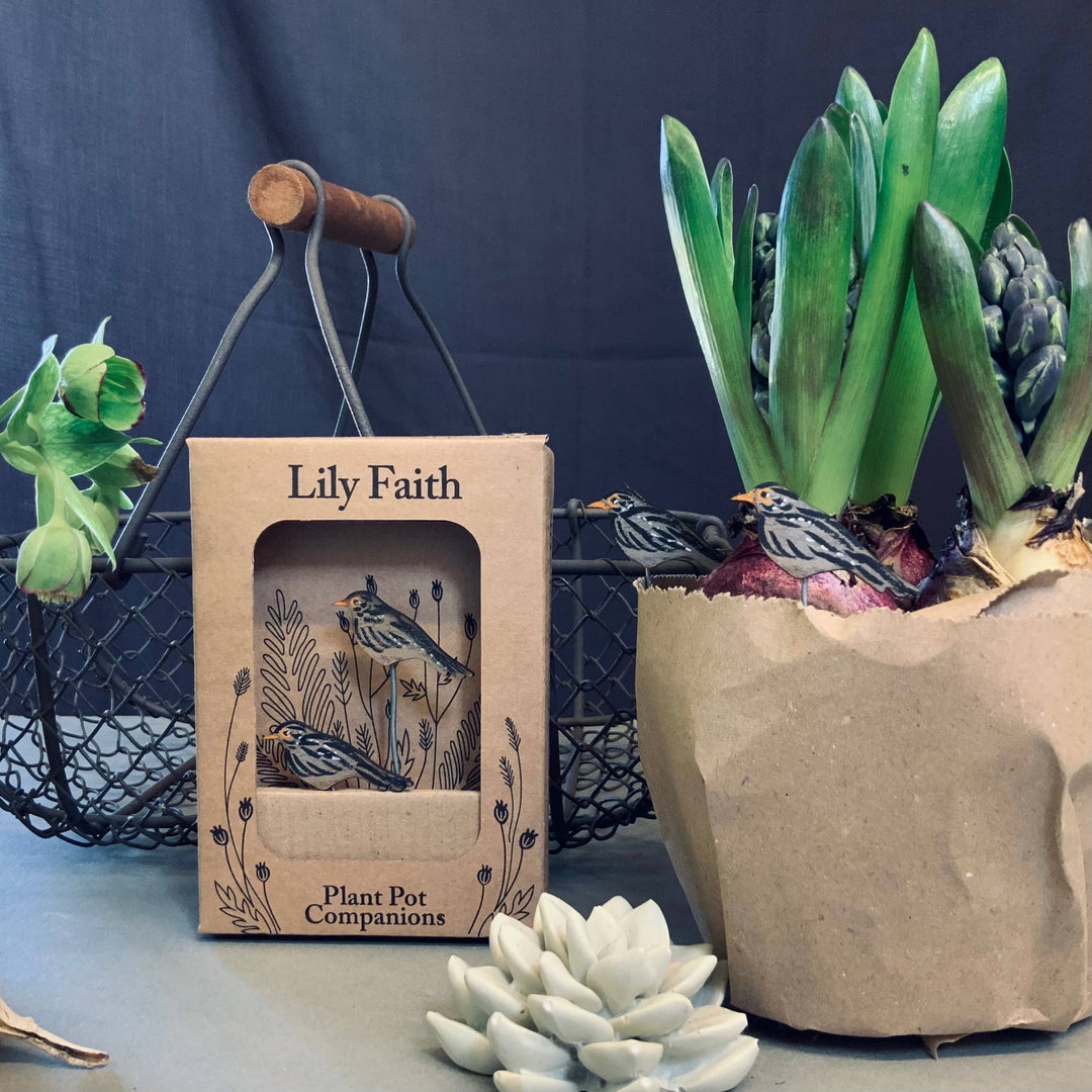 Black Bird Plant Pot Companions