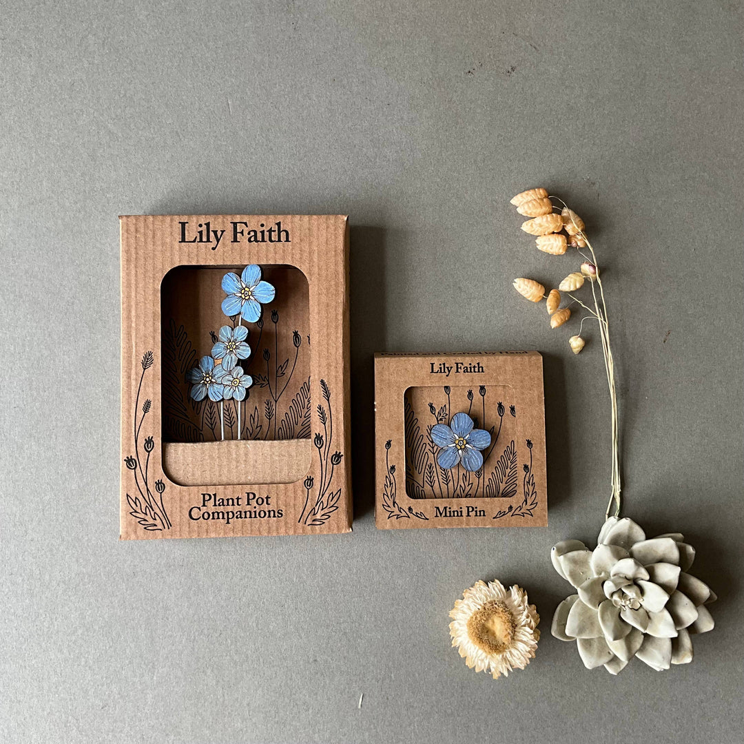 Forget Me Not Plant Pot Companions