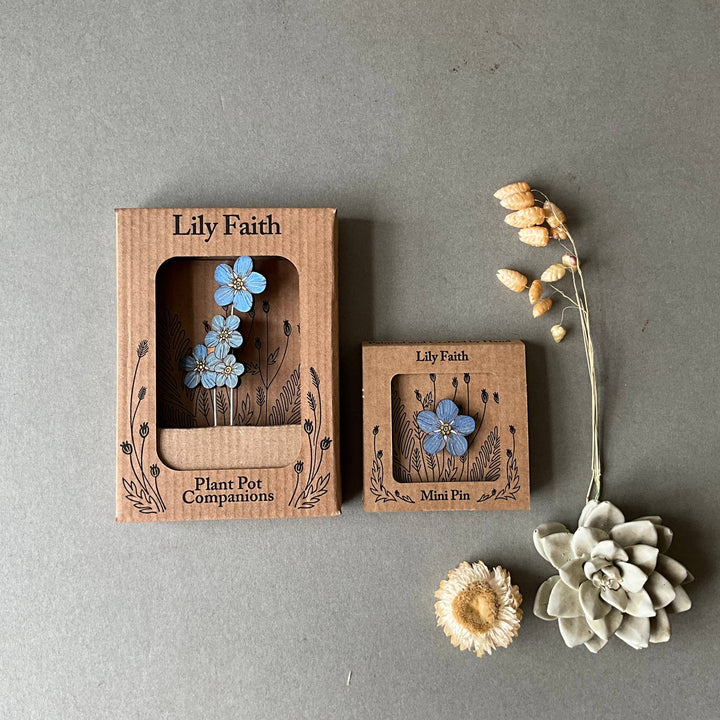 Forget Me Not Plant Pot Companions