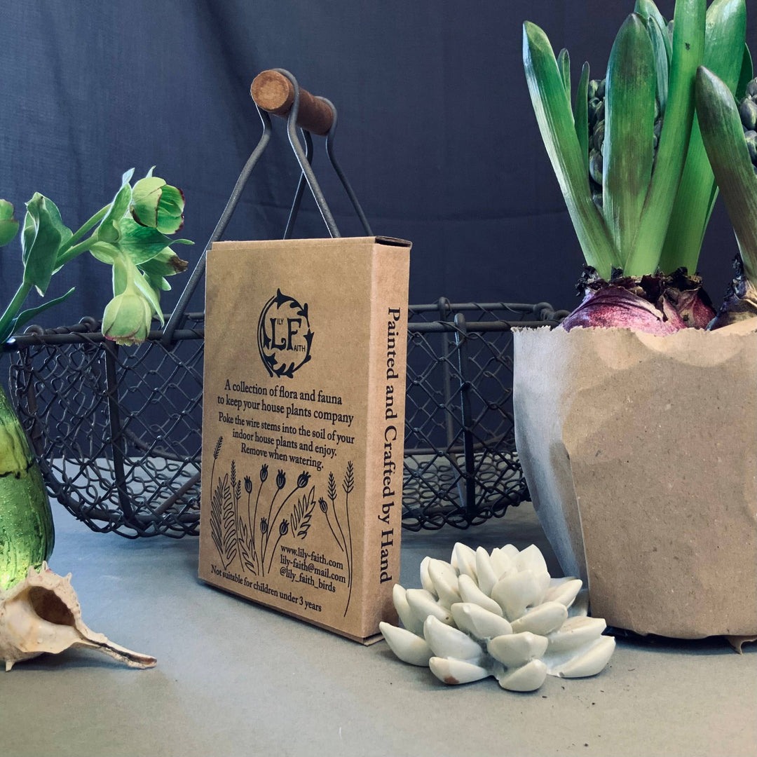 Black Bird Plant Pot Companions