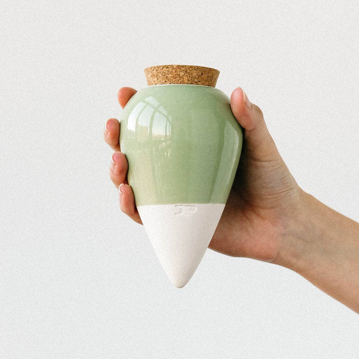 Olla Plant Watering Spike | Green