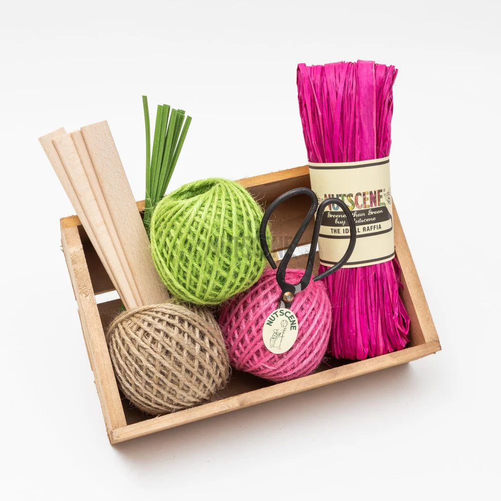 Gardeners Seed Tray Gift Set - Brights