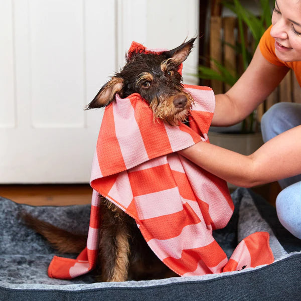 Dog towel sale