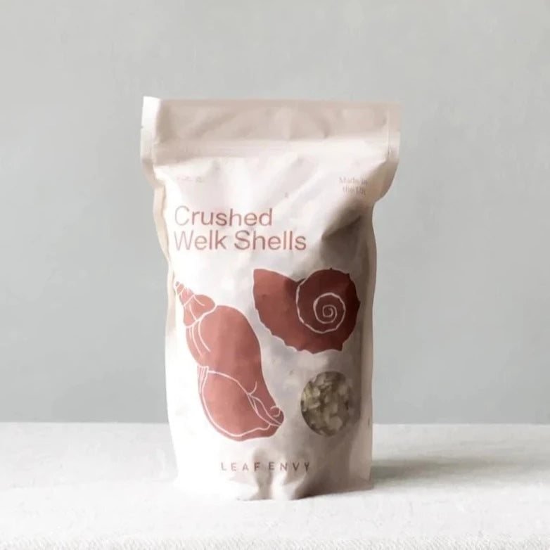 Crushed Welk Shells