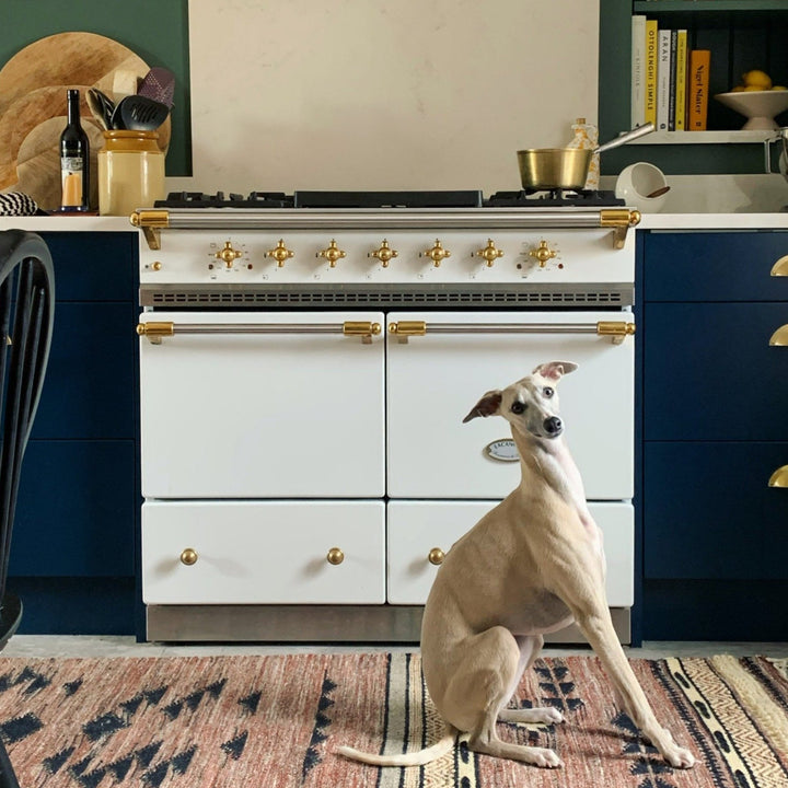 Range Cooker & Appliance Viewing