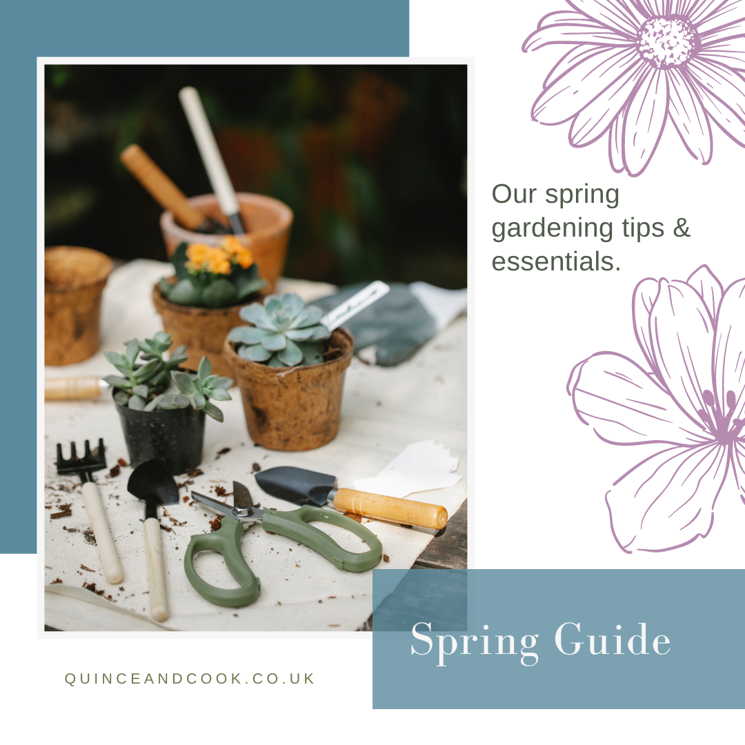 Spring Garden Guide