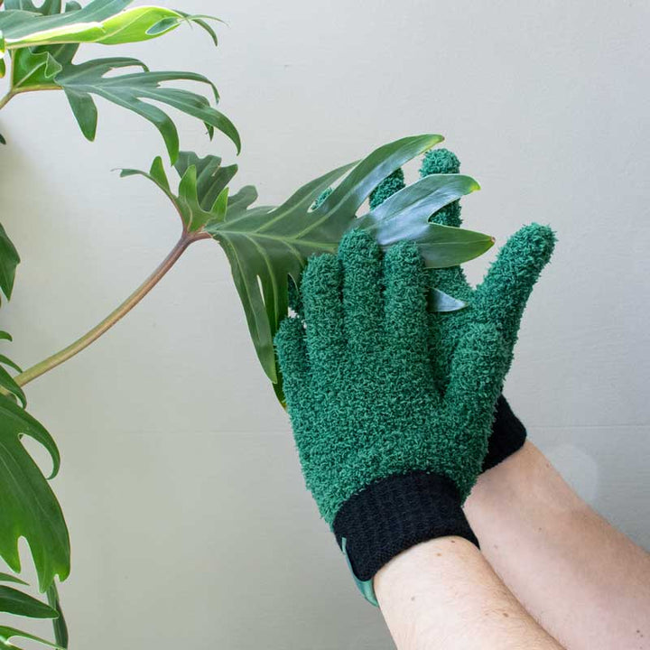 Microfiber Dusting Gloves for Plants
