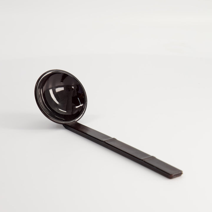 Ramen Spoon