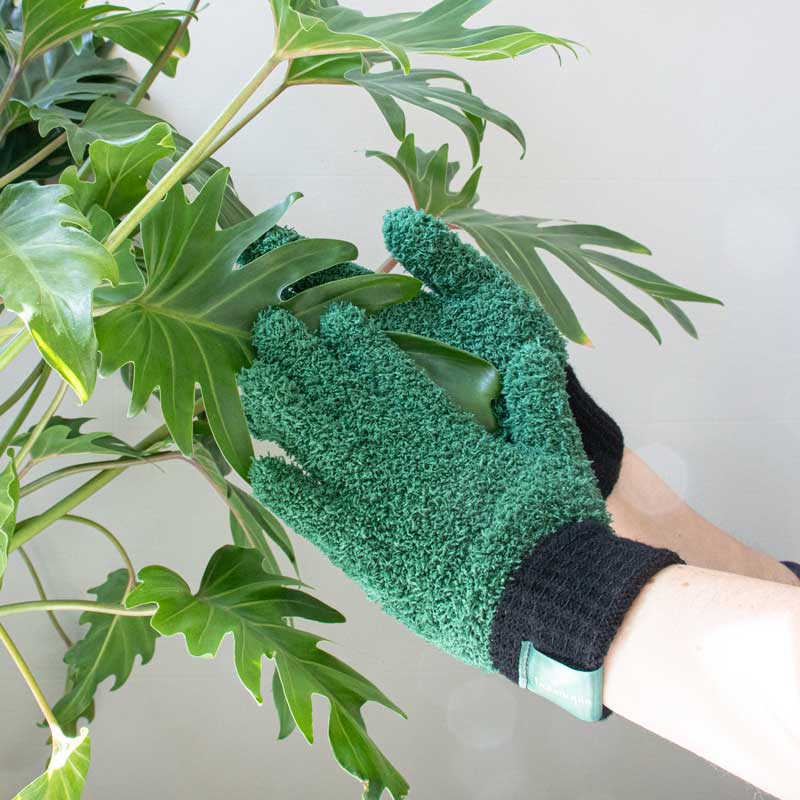 Microfiber Dusting Gloves for Plants