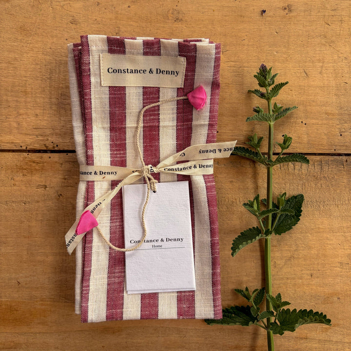 Clay Stripe Cotton Napkins - Set of 4