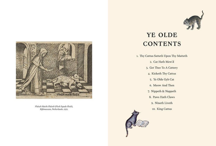 Medieval Cats By Dr Catherine Nappington