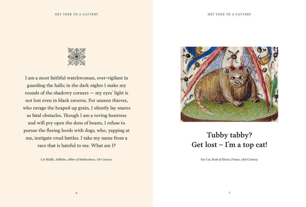Medieval Cats By Dr Catherine Nappington