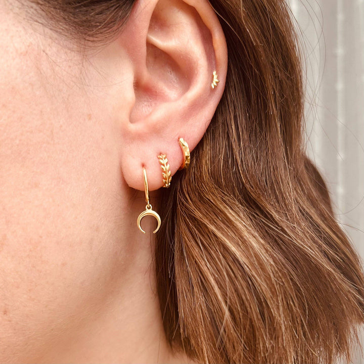 Gold Laurel Huggie Hoops