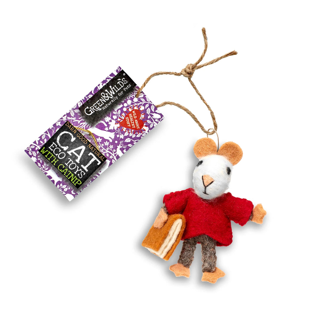 Barney Book Mouse Toy with Catnip