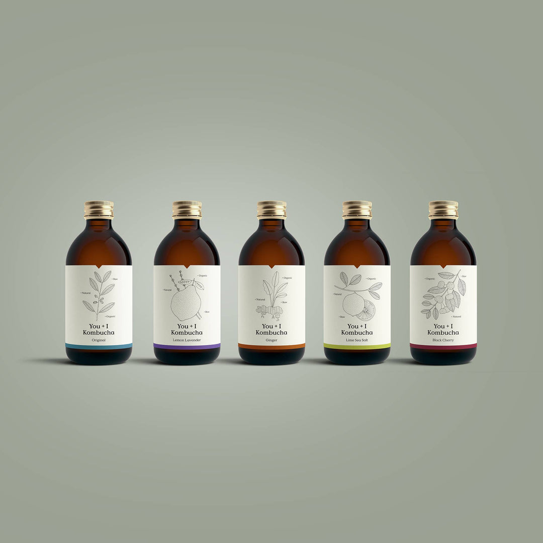 Black Cherry Kombucha