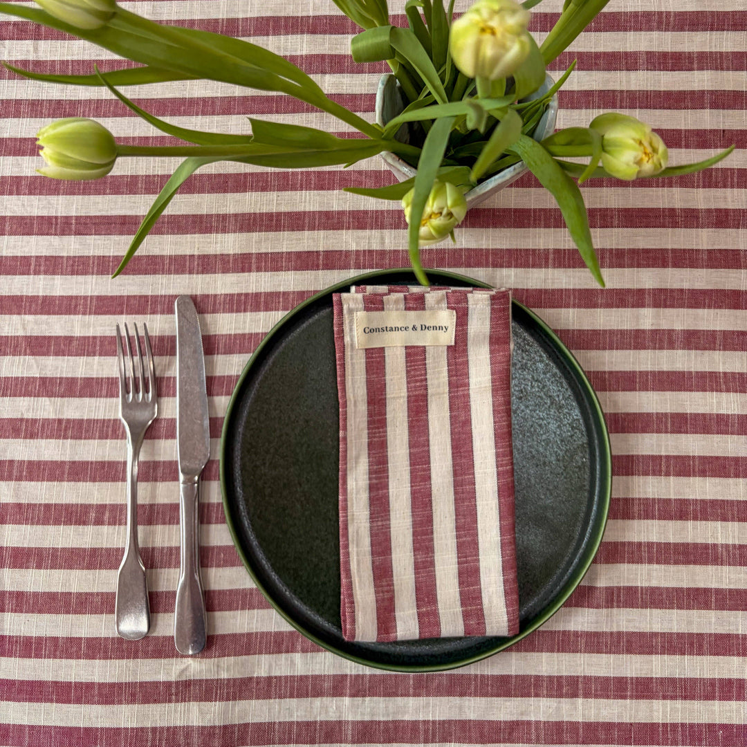 Clay Stripe Cotton Napkins - Set of 4