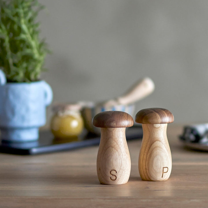 Rahim Salt & Pepper Shaker Set