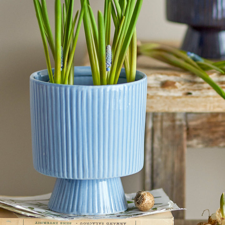 Ayleen Plant Pot in Blue