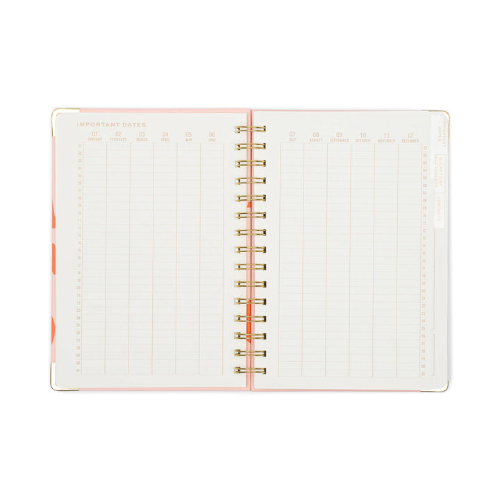 Undated Perpetual Planner - Plans