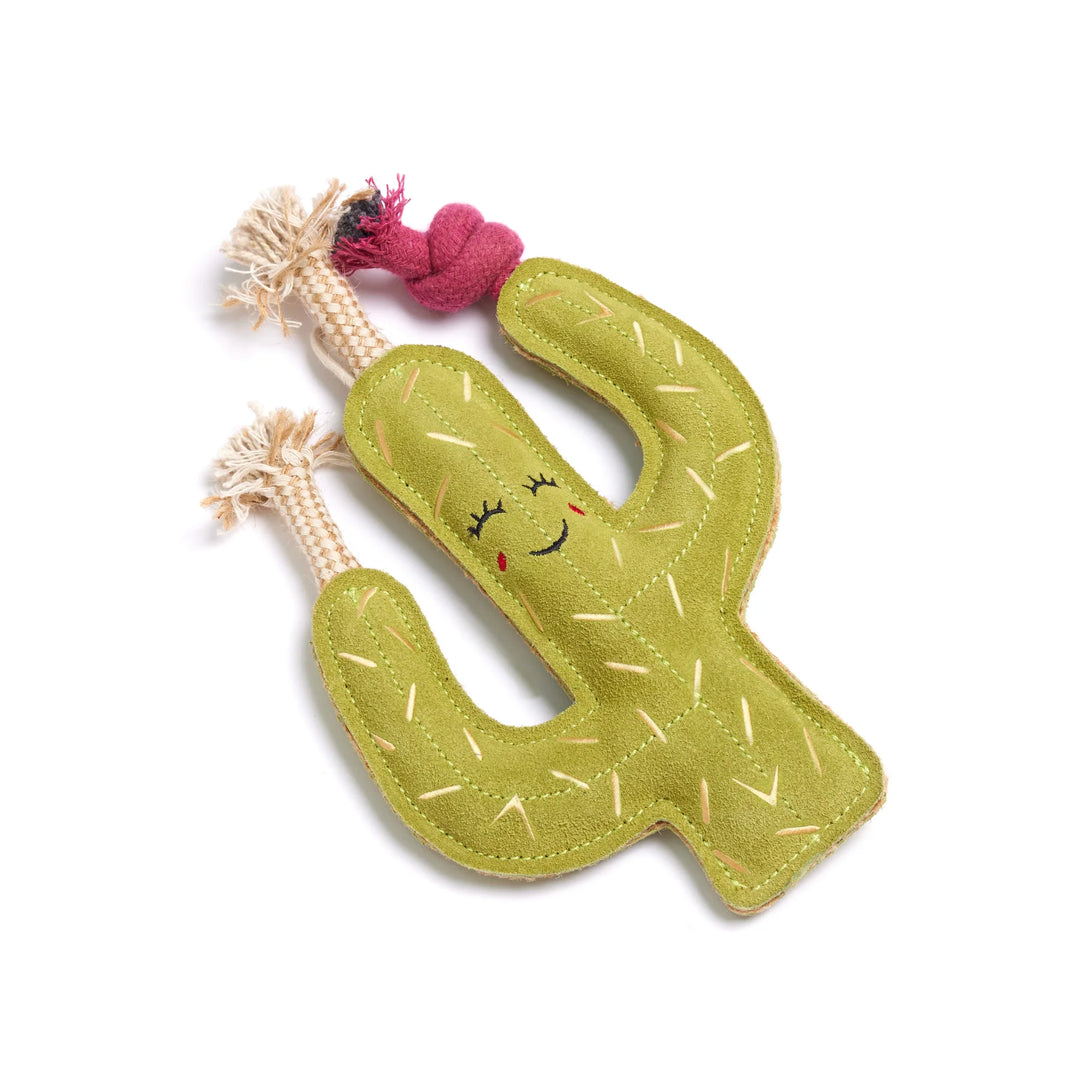 Carmen the Cactus Eco Dog Toy