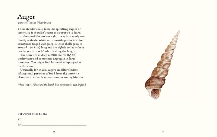 The Shell Spotter's Guide