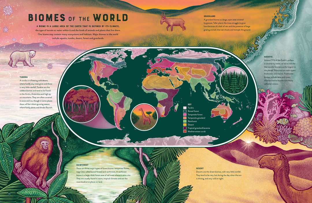Life: The Wild Wonders of Biodiversity