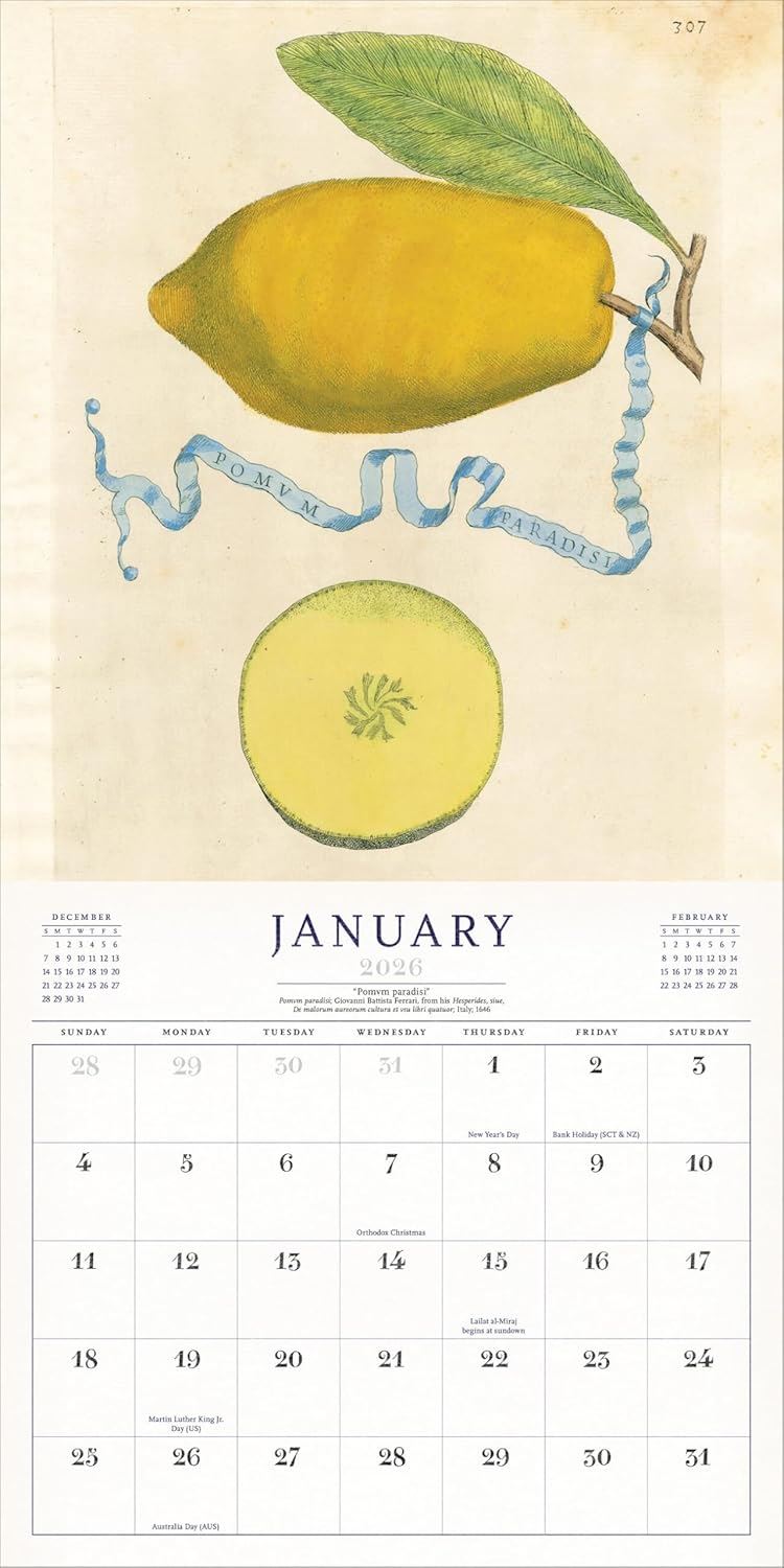 World of John Derian Wall Calendar 2026